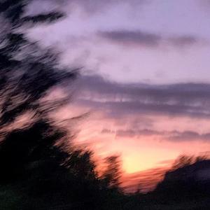 日本男女动漫18禁
