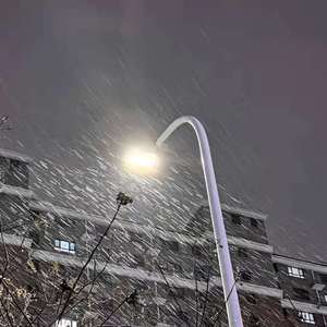 日本男女动漫18禁
